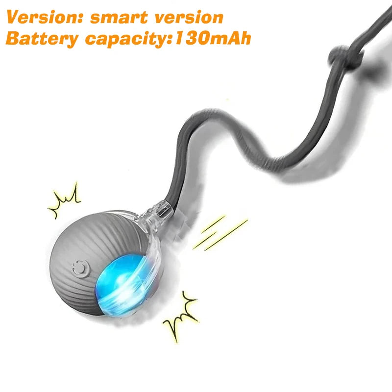 New Dog Interactive Ball Toy,Automatic Rolling Dog Ball Rechargeable,Smart Puppy Interactive Toy,Intelligent Balls Toy for Dogs