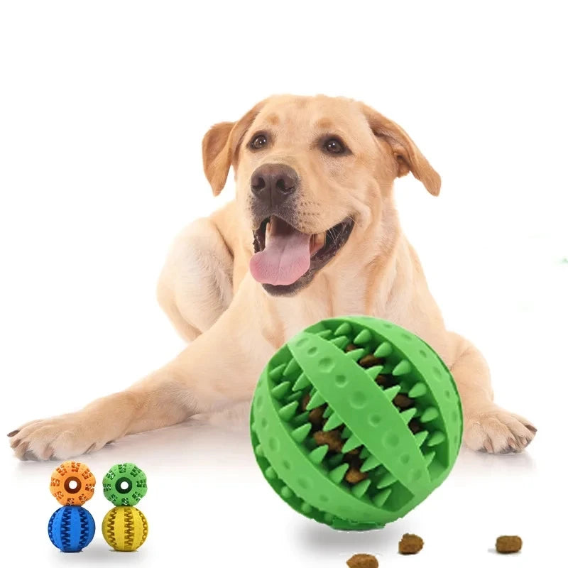 New Pet Dog Toy Interactive Rubber Balls for Small Large Dogs Puppy Cat Chewing Toys Pet Tooth Cleaning Indestructible Dog Ball