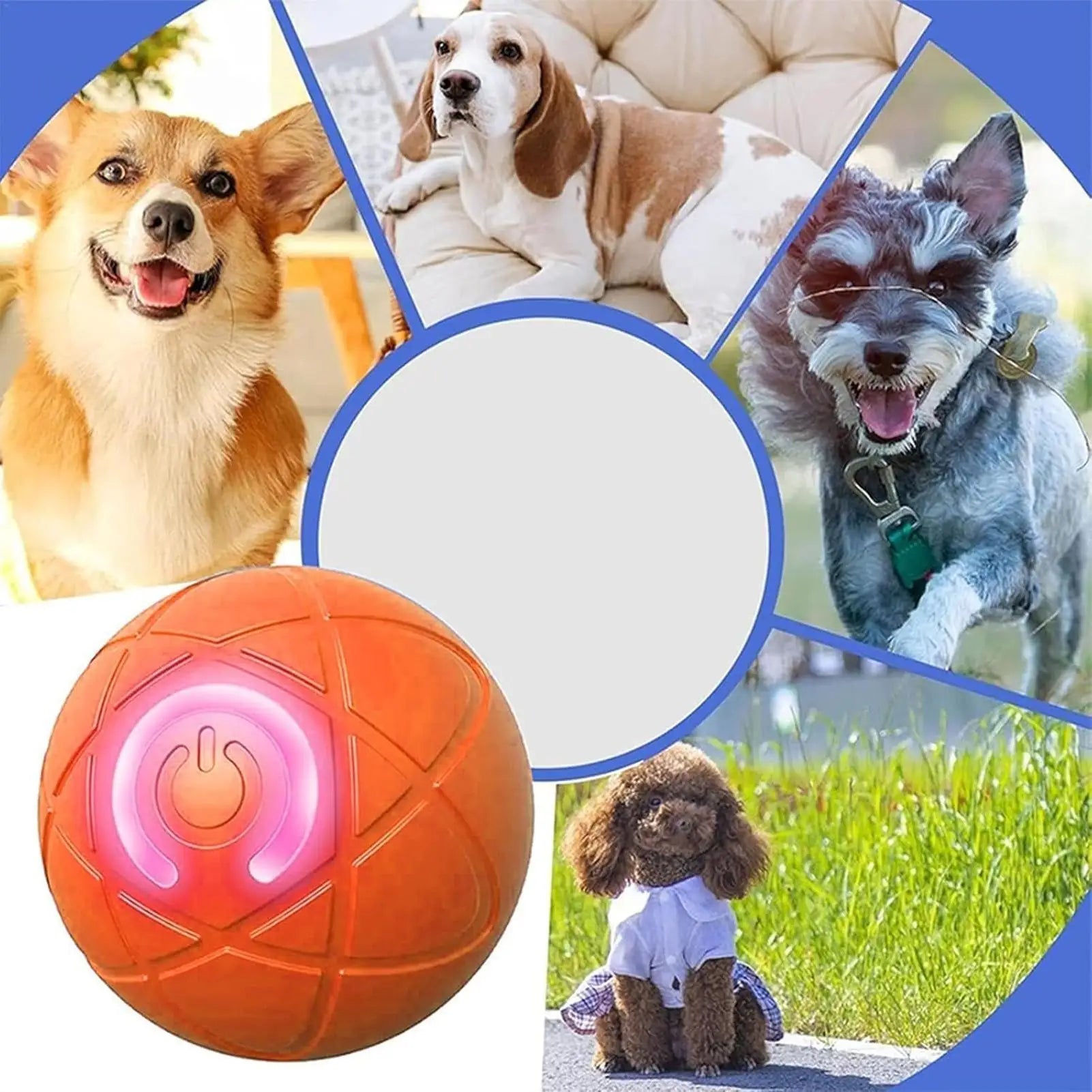 Dog Toy Ball Interactive Rolling Ball Auto Moving Dog Toy Two Modes Rechargeable Automatic Ball Pet Toy Supplies for Dog Puppy